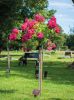 Craigton_Crematorium_05