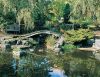 the-horder-garden-at-golders-green-crematorium