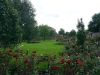 manchester-3