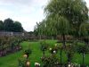 manchester-5