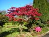 warriston-crematorium-gardens-of-remembrance