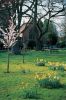 woking-crematorium-4